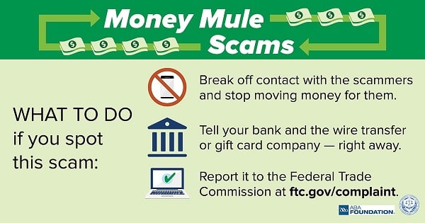 Money Mule Scams. WHAT TO DO if you spot this scam: Break off contact with the scammers and stop moving money for them. Tell your bank and the wire transfer or gift card company - right away. Report it to the Federal Trade Commission at ftc.gov/complaint.